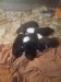 IMG-20260824-WA0000
